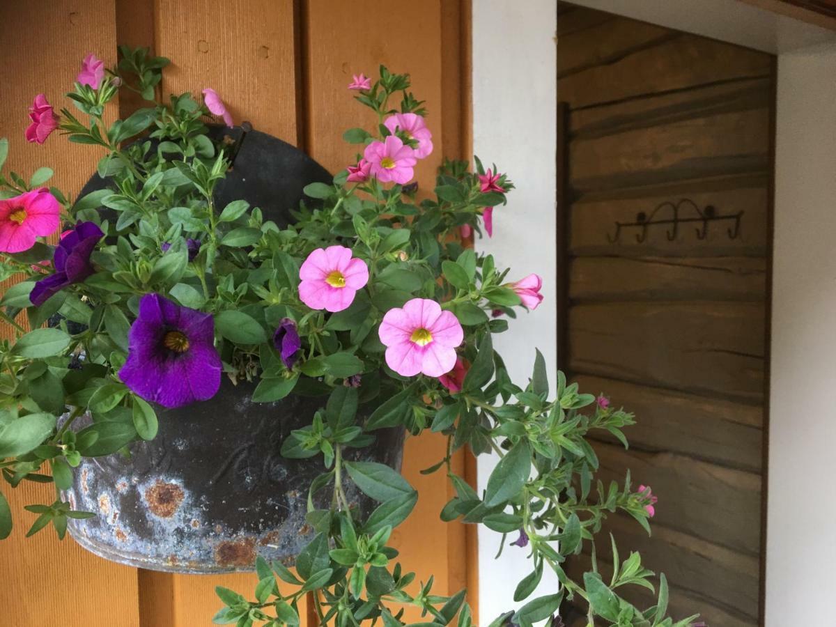 Bakarstuo, Utpa Neset Villa Trofors Eksteriør billede